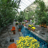 Washington DC Botanical Gardens